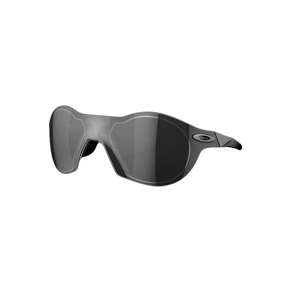 Subzero Solbriller i farven Steel W/Prizm sort