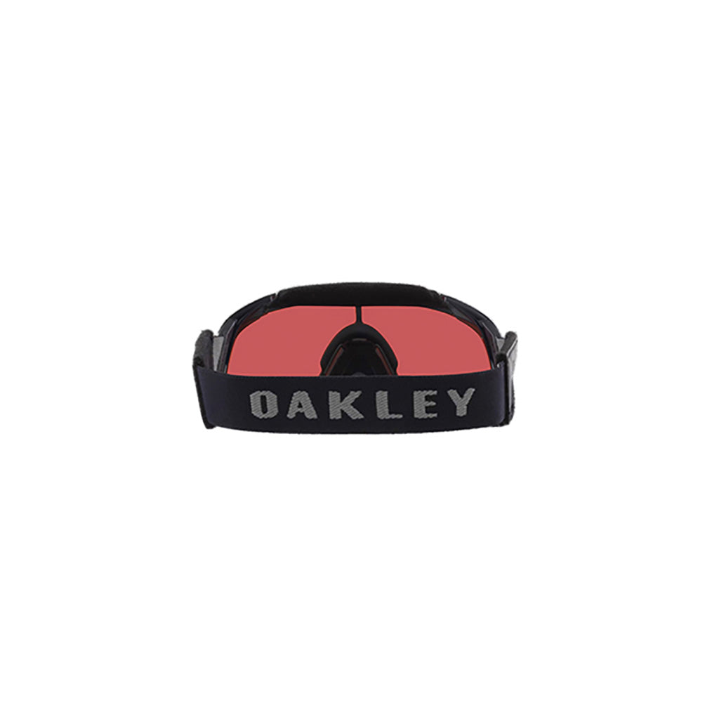 En Skibrille, Flex Scape Skibriller i farven Prizm Snow Sapphire set bagfra