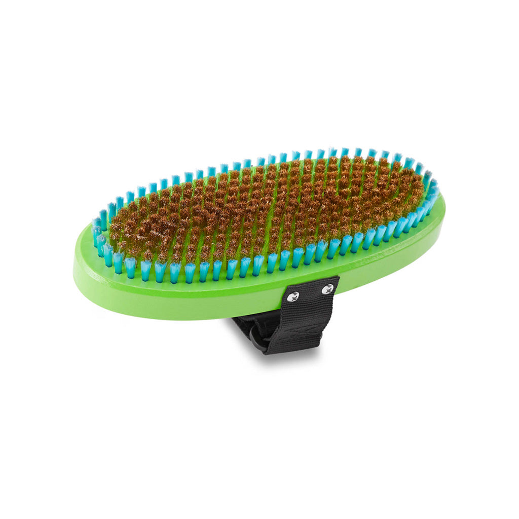 Premium Oval Brass Brush