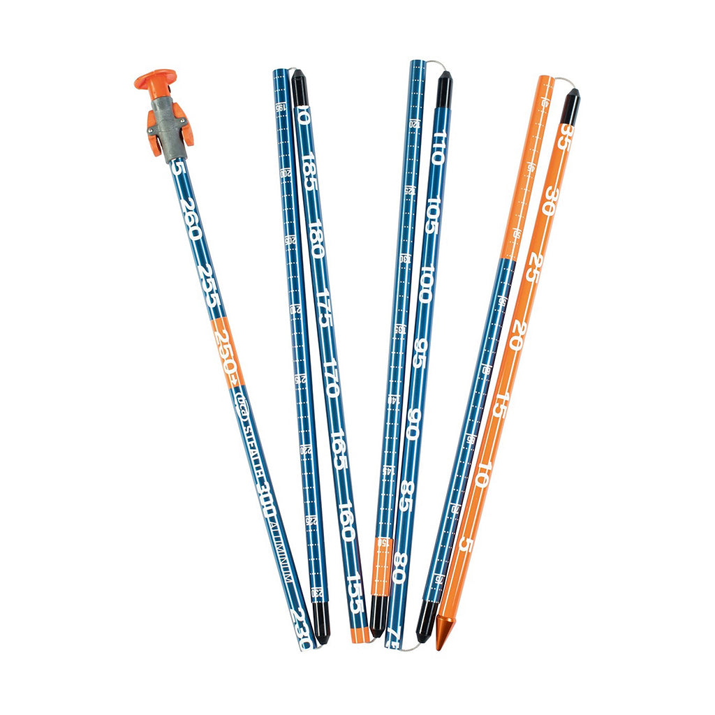 Stealth 300 - Lavine