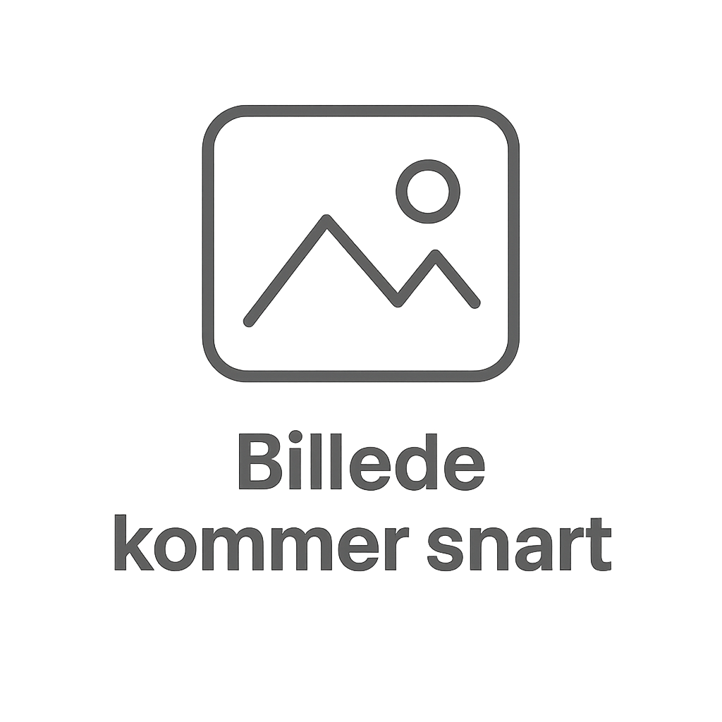 Snowboardtaske 165 Cm - Snowboardtaske