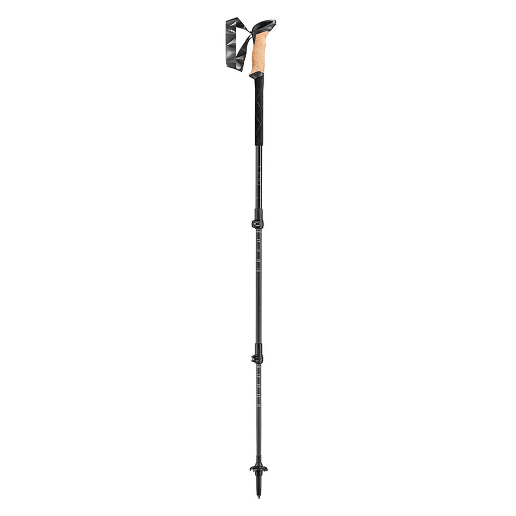 En Hikingstave, sort Series Carbon i farven sort / grå / Dark Antracite