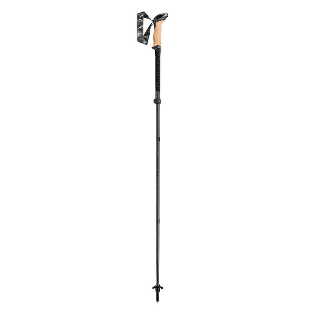 En Hikingstave, sort Series Fx Carbon i farven sort Naturalcarbon