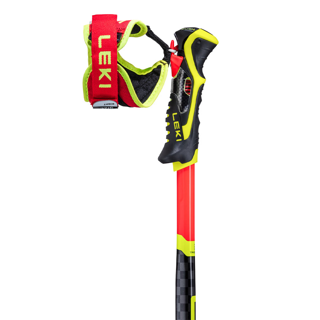 WCR SL 3D - Skistave