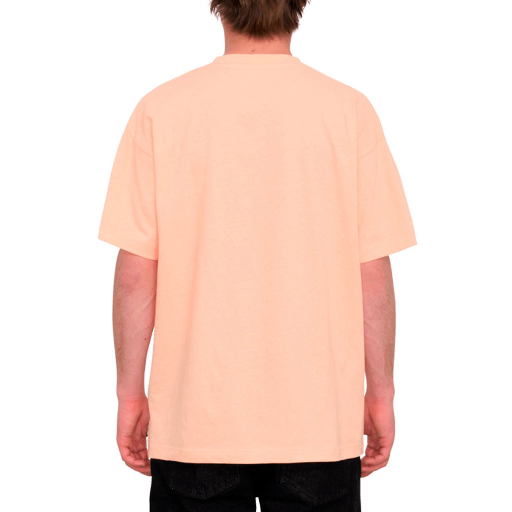 En T-Shirt, Fa Arthur Longo 3 Lse Sst i farven Salmon set bagfra