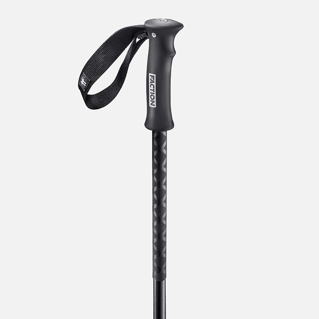 Agent Poles - Skistave