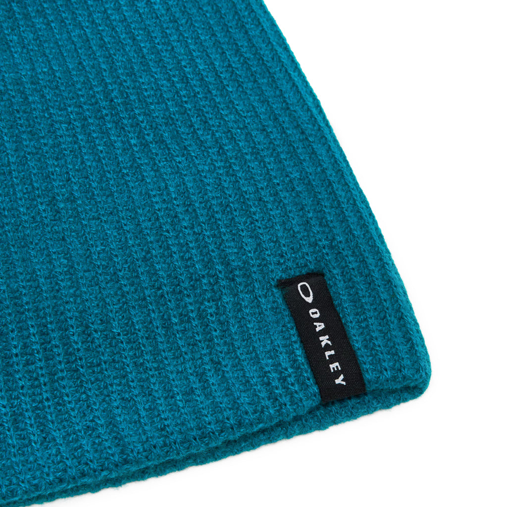 Back Bone Beanie 2.0 - Hue