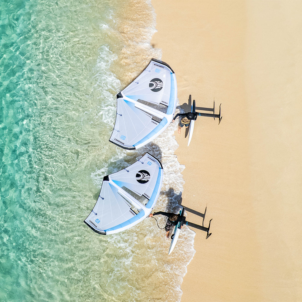 Vision C1 2026 - Wing