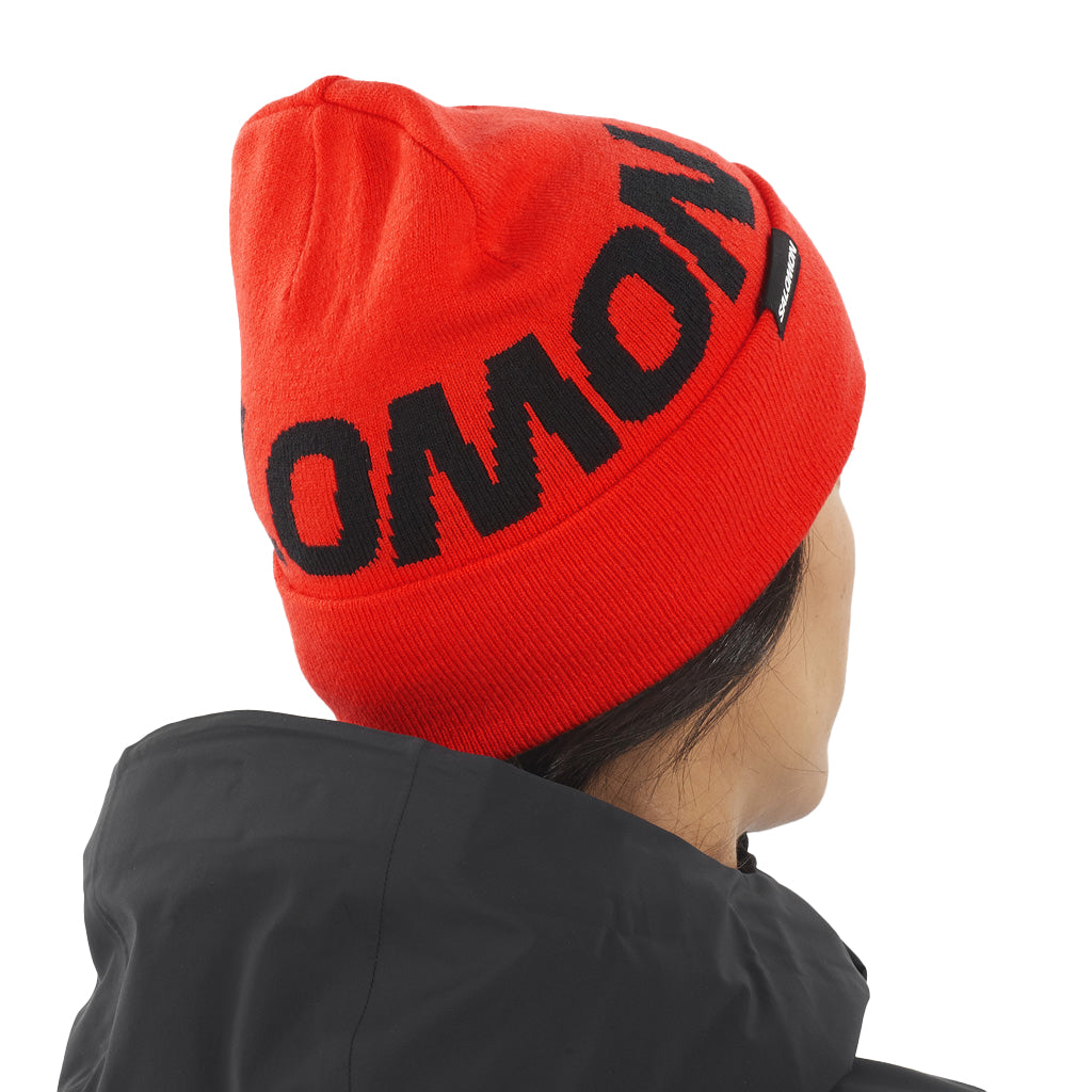 Hermitage Beanie - Hue