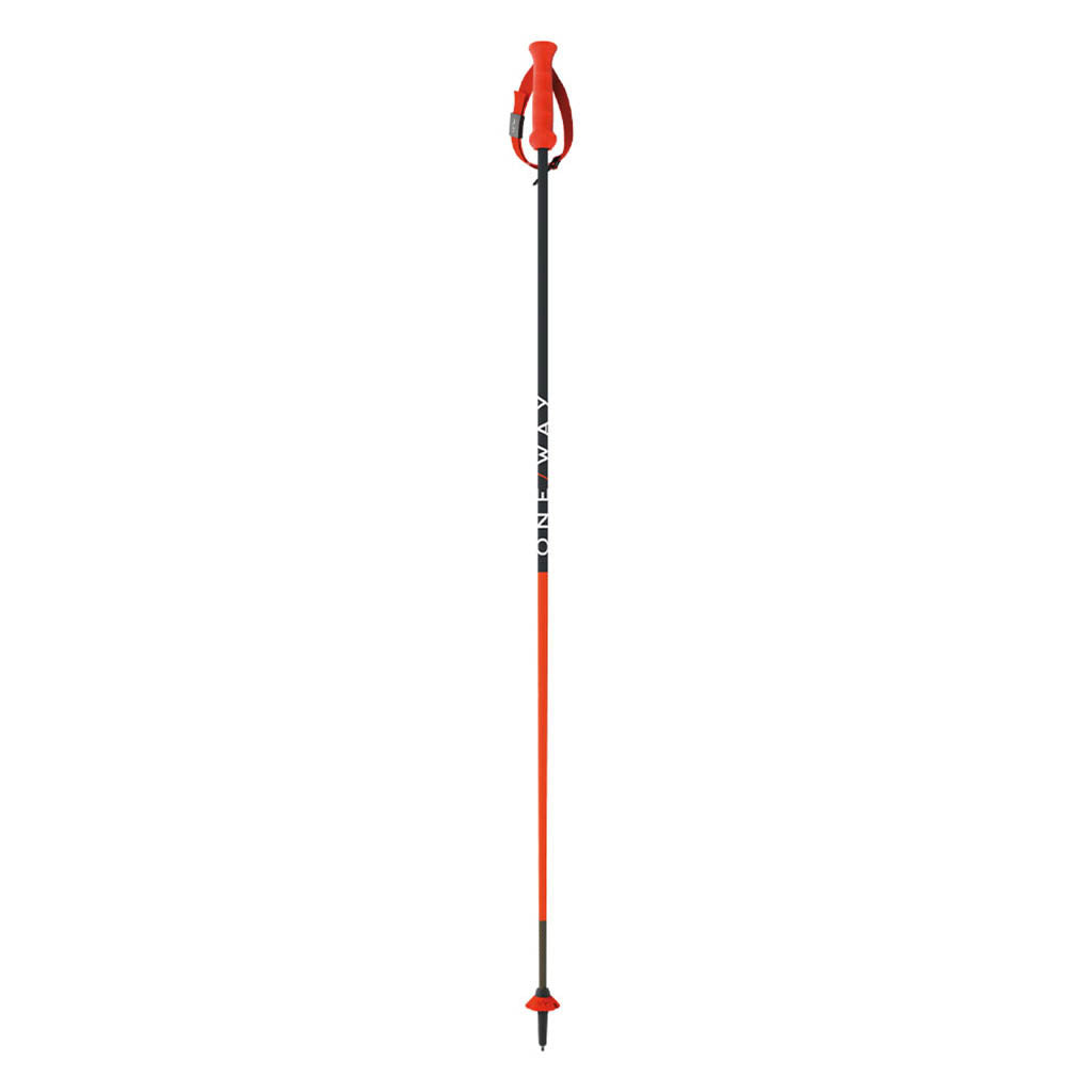 Rd 13 Carbon Skistave