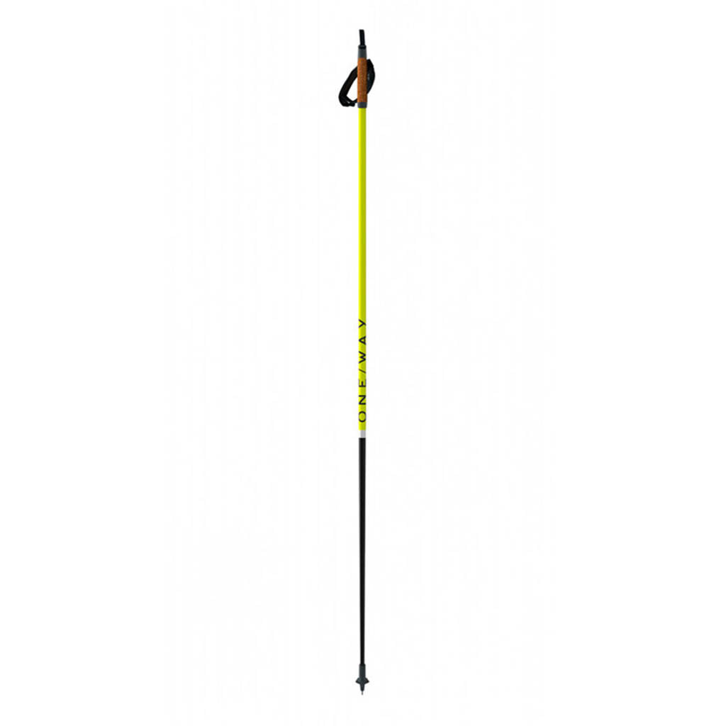 Storm 2 Street Kit 100% Carbon Skistave