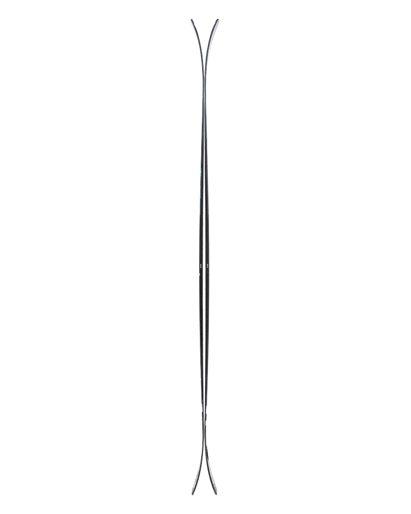 Arv 100 - Ski