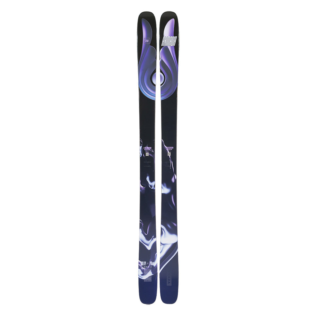 Arv 94 - Ski