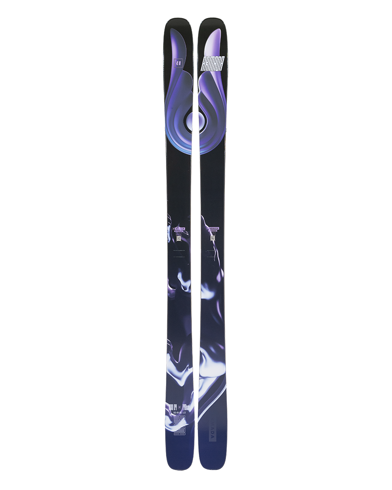 Arv 94 - Ski
