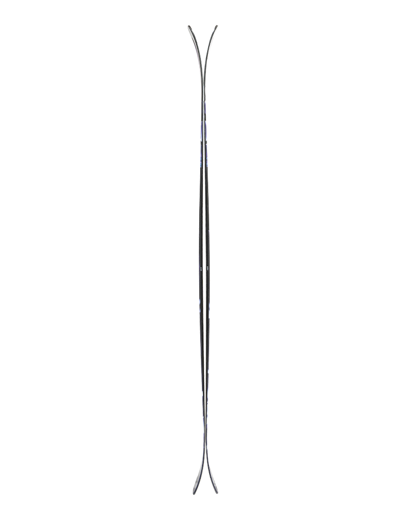 Arv 94 - Ski