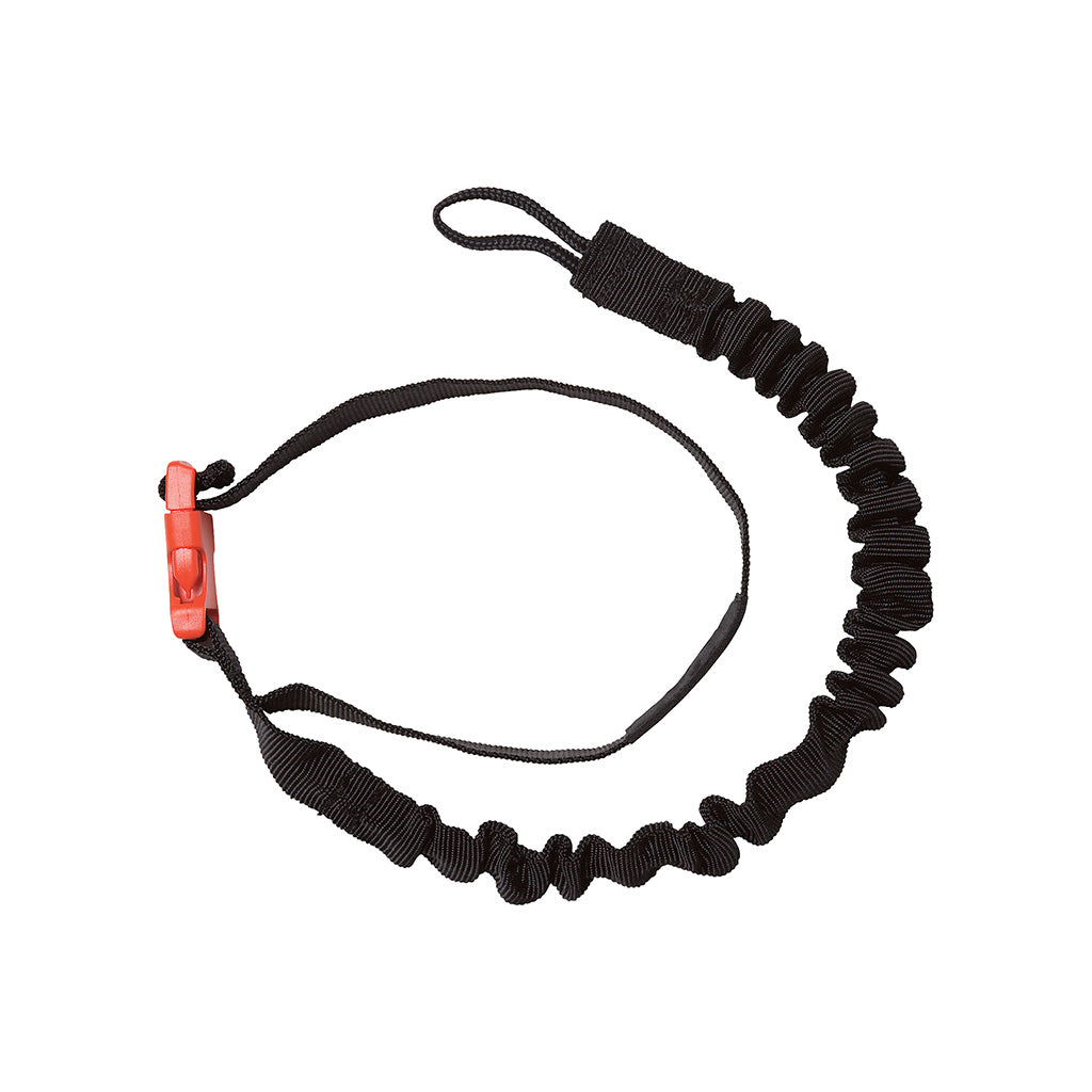 Web Leash
