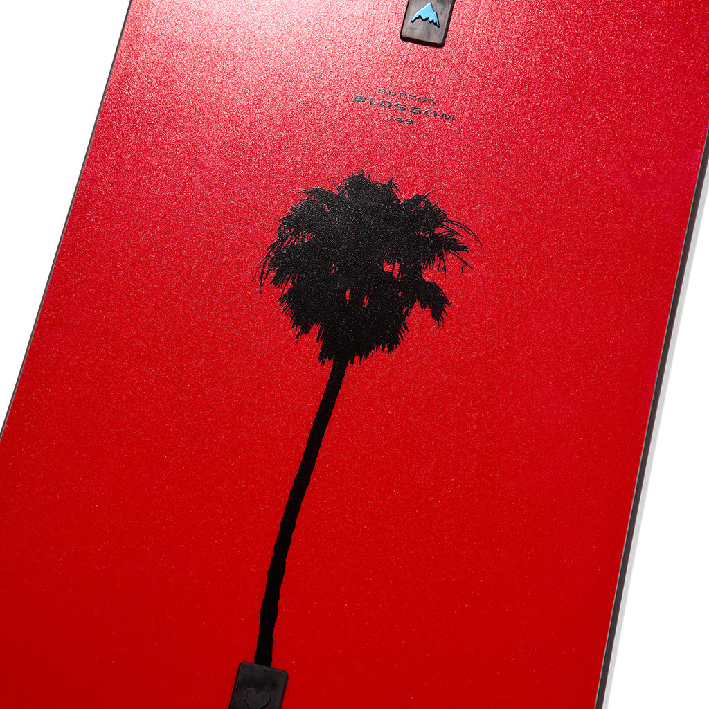 Blossom Camber Snowboard - Snowboard