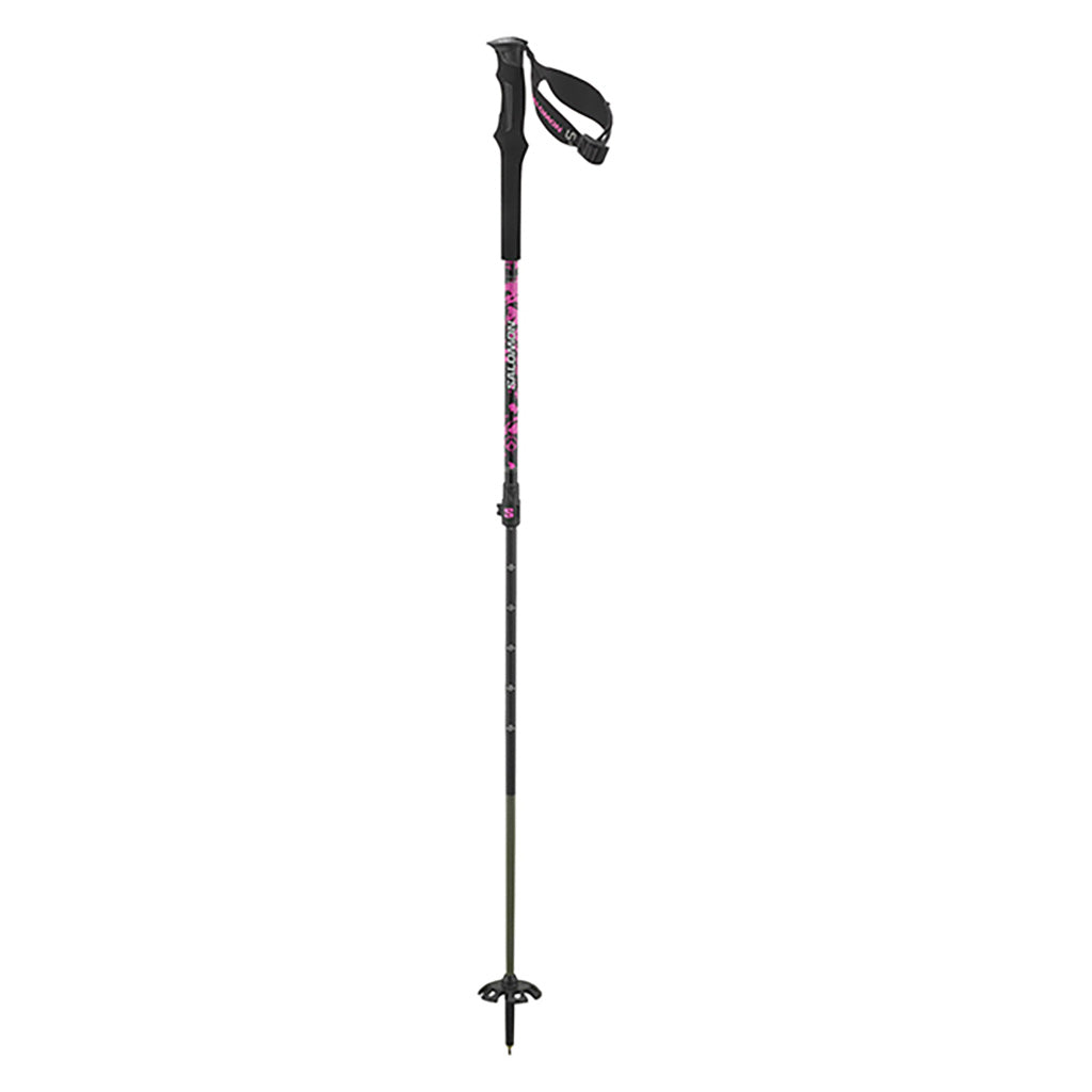 En Skistave, Poles Qst Carbon S3 i farven sort Sugar Plum set forfra